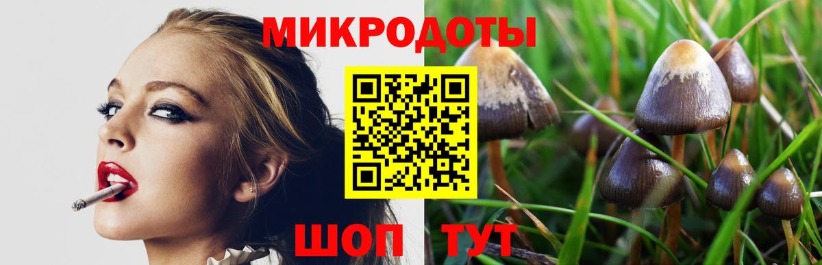 Псилоцибиновые грибы Cubensis  Вход с VPN  Валуйки 